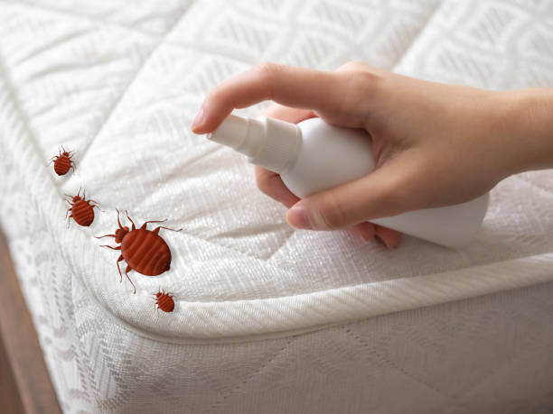 Best Bed Bug Extermination  in Austin, AR